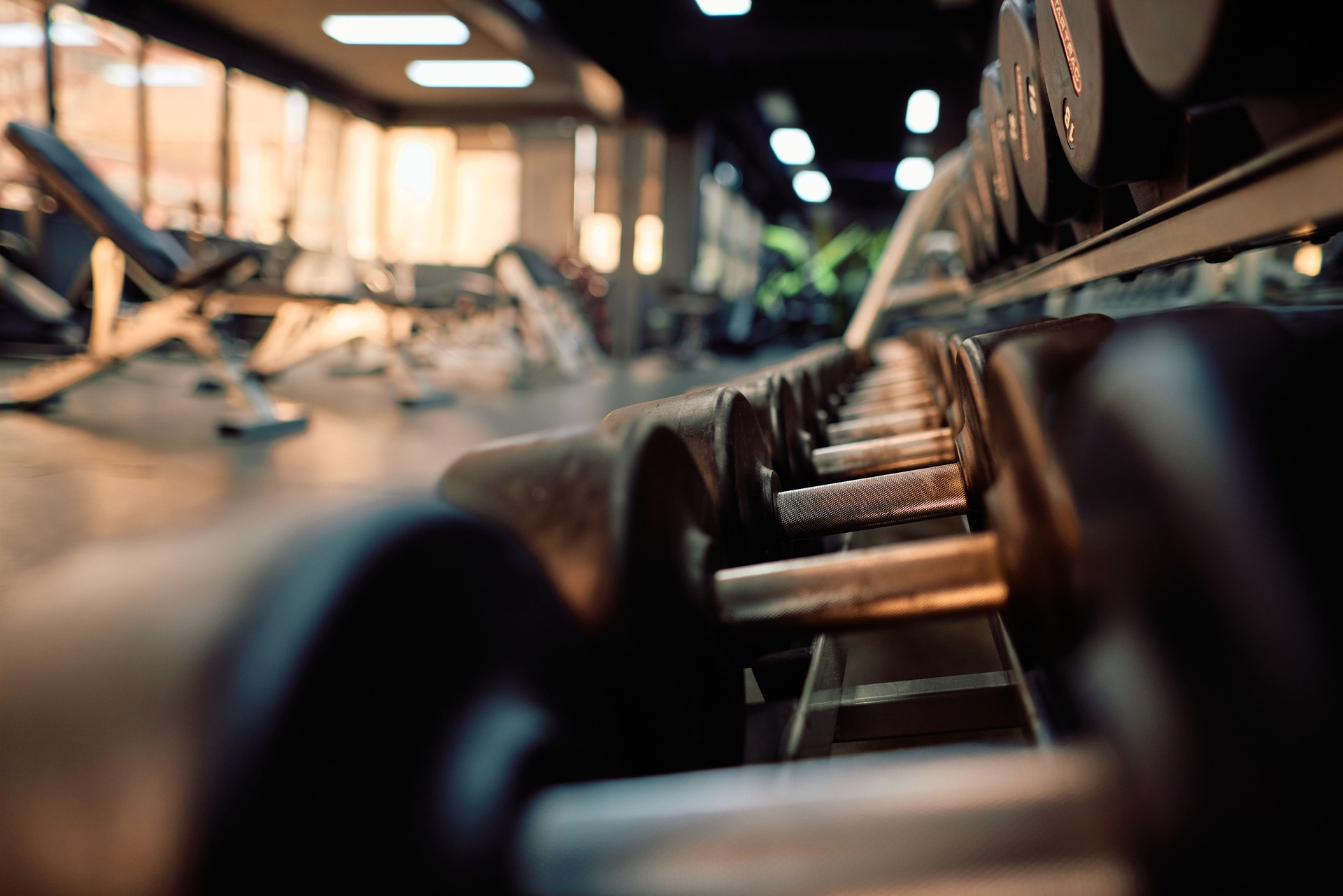 Dumbbells arranged in a row in the gym Dumbbells arranged in a row in the gym